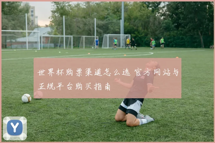 世界杯购票渠道怎么选 官方网站与正规平台购买指南