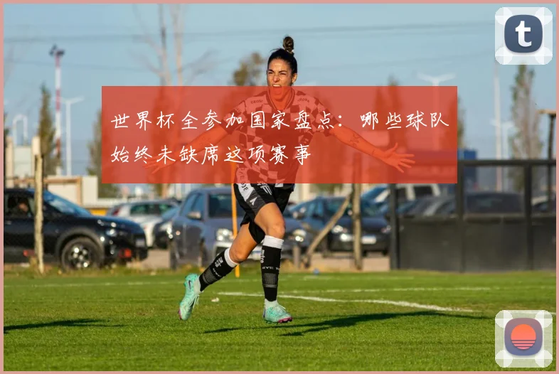 世界杯全参加国家盘点：哪些球队始终未缺席这项赛事