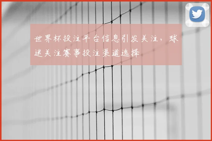 世界杯投注平台信息引发关注，球迷关注赛事投注渠道选择
