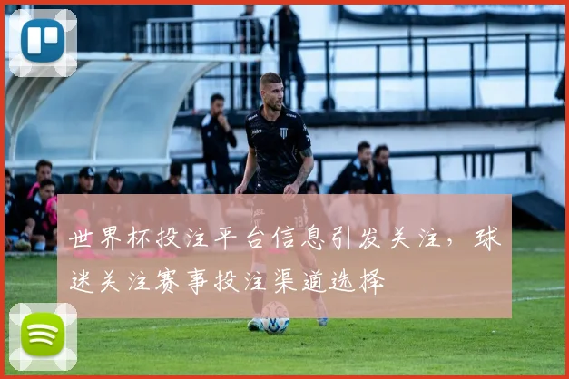 世界杯投注平台信息引发关注，球迷关注赛事投注渠道选择