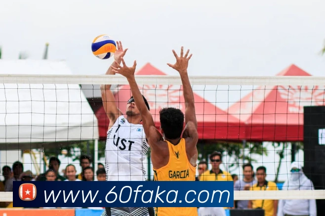 ayx.cn登录入口平台生态图